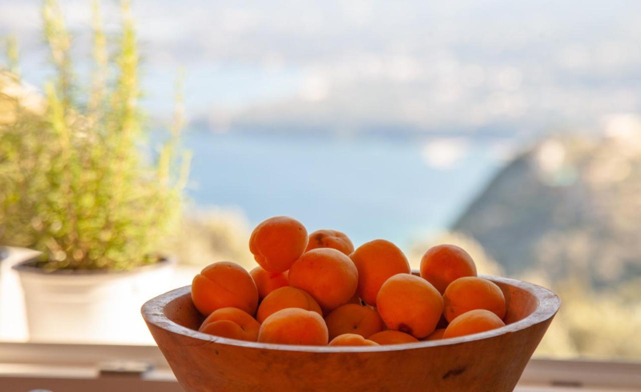 Lorantina Sea View House Holidays In Corfu Spartylas Exterior photo